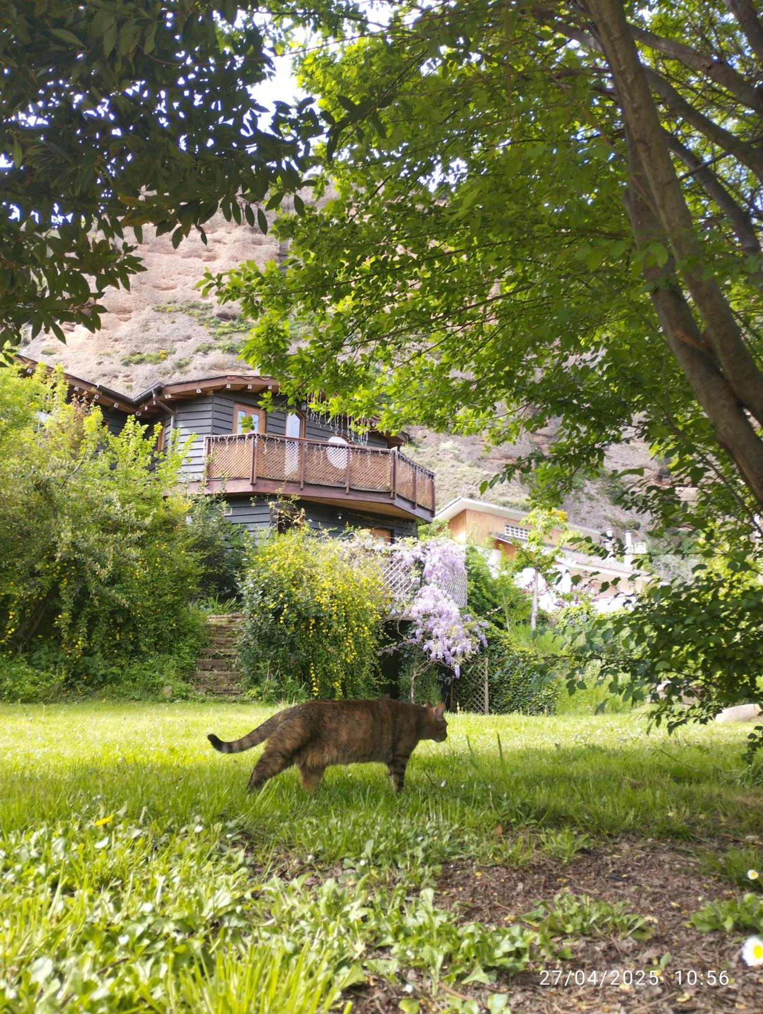La Casa Verde Islallana Exteriör bild